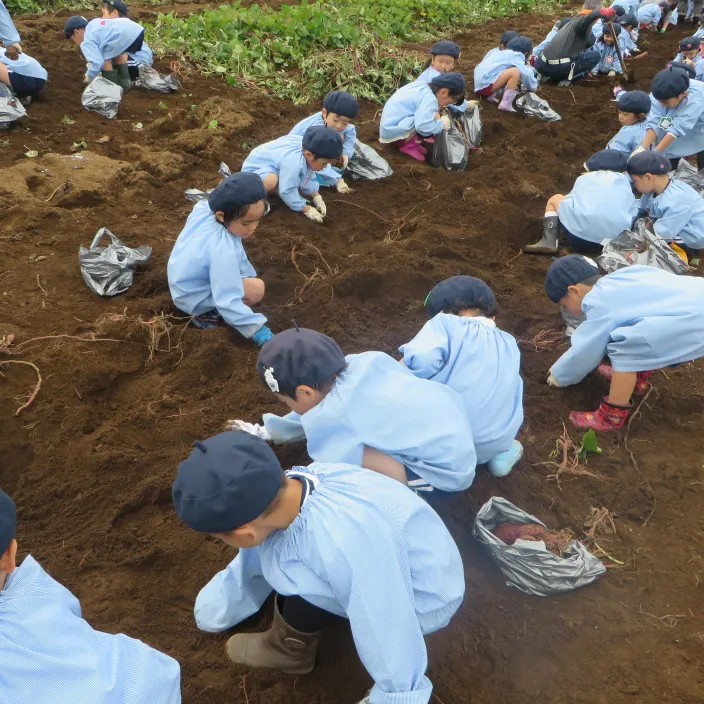 本物に触れる